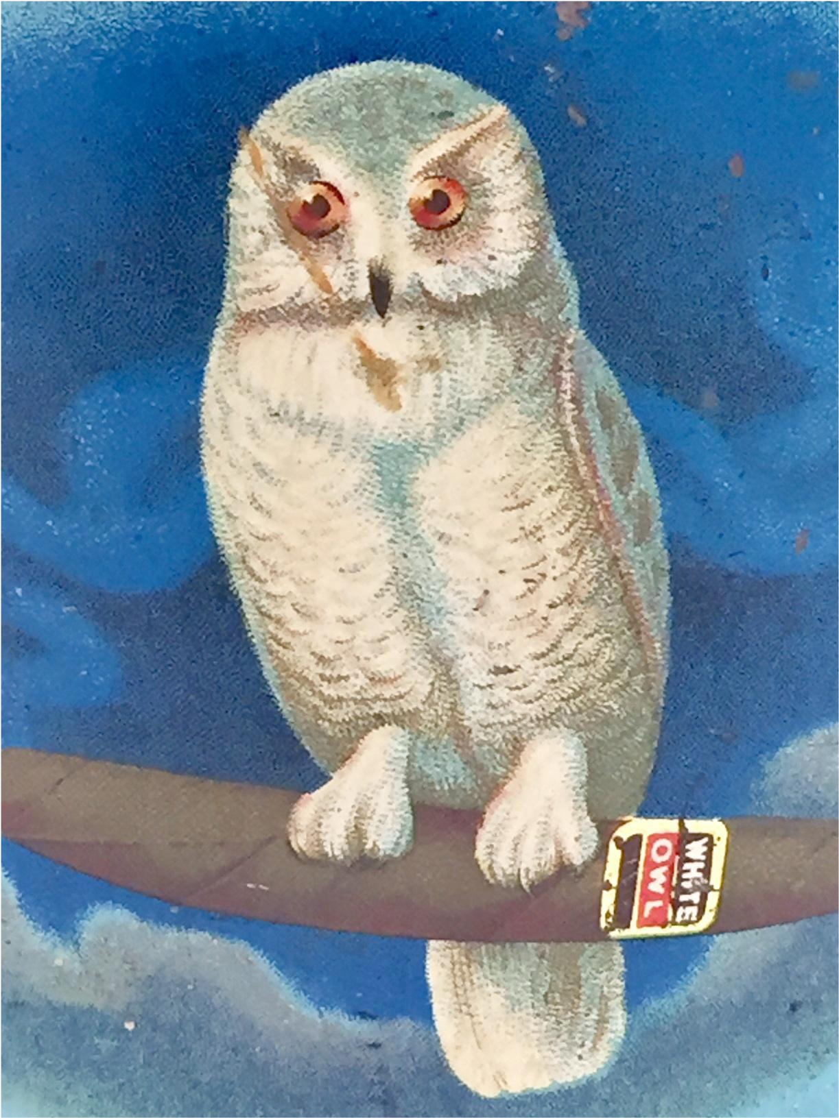 White Owl (1630x1630), Png Download
