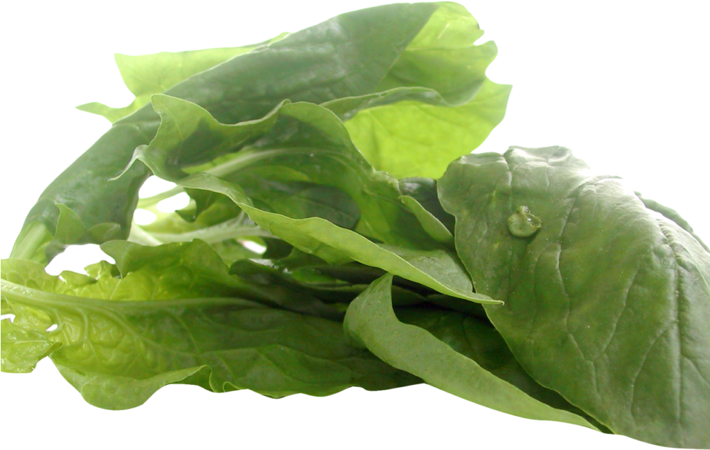 Spinach Png Image - Spinach (1024x768), Png Download