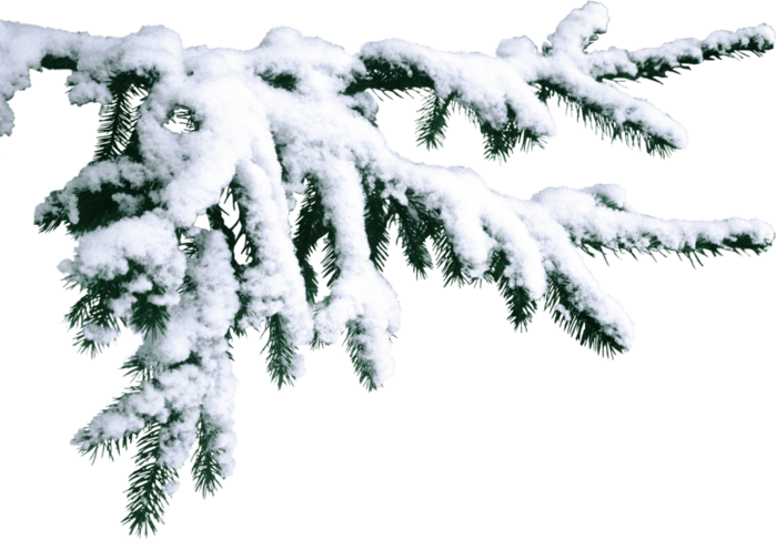 Saint Petersburg (699x487), Png Download