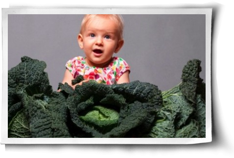 Kale Is The New Spinach Post Image - Health (500x344), Png Download
