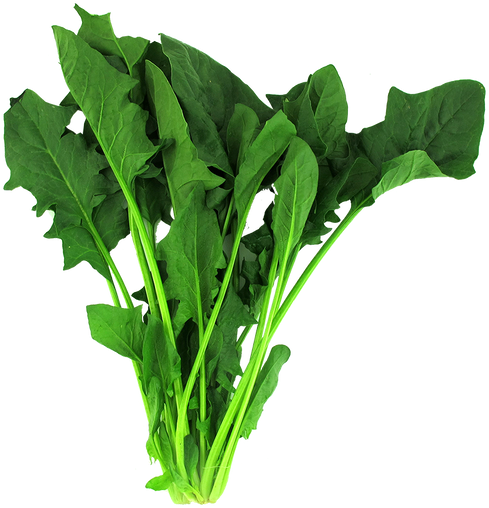 Mustard Greens (498x520), Png Download