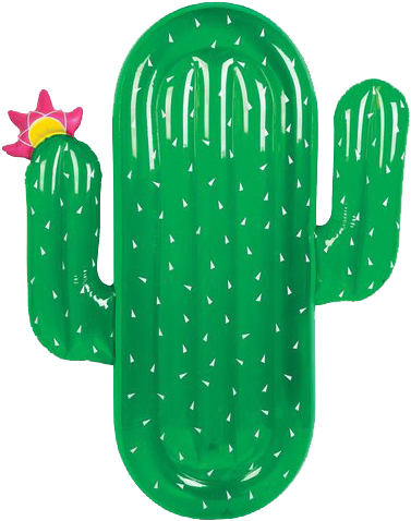 Cactus - Sunnylife Luxe Cactus Float (408x519), Png Download