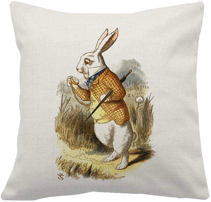 Alice In Wonderland - John Tenniel White Rabbit (800x800), Png Download