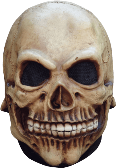 Junior Skull Mask - Ghoulish Productions Junior Skull Halloween Mask (555x555), Png Download