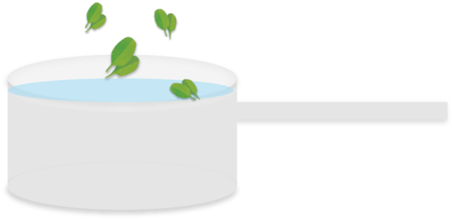 Spinach Header4-04 - Circle (1000x605), Png Download