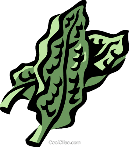 Spinach Royalty Free Vector Clip Art Illustration - Collard Greens Clipart (423x480), Png Download