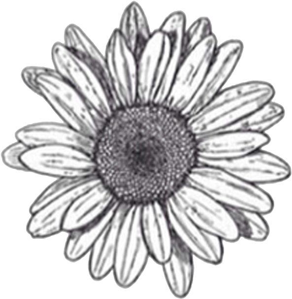 Resultado De Imagem Para Flower Doodle Transparent - Aesthetic Yellow Tumblr Background (1280x1120), Png Download