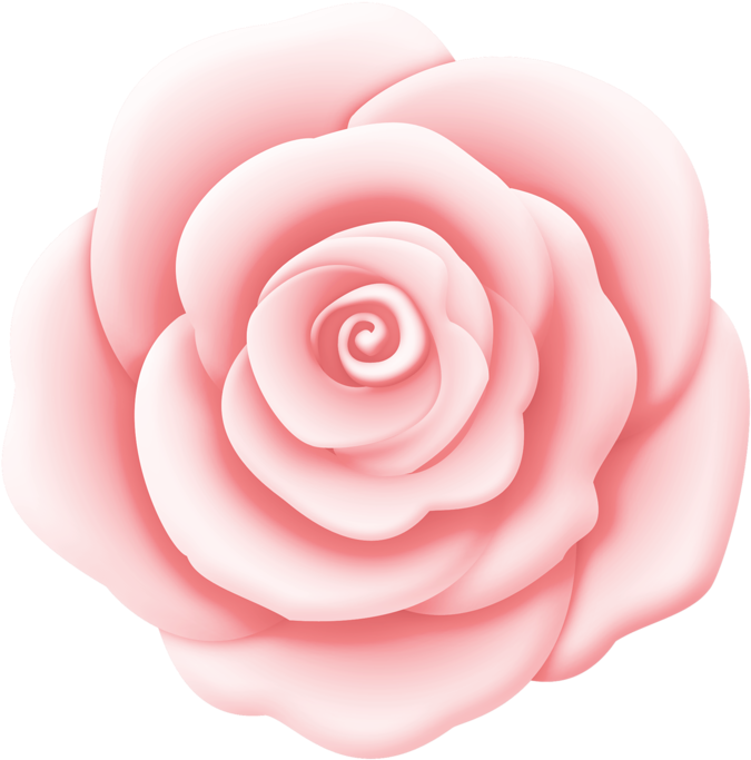 Album, Flowers, Watercolor Painting, Card Book - Garden Roses (800x790), Png Download