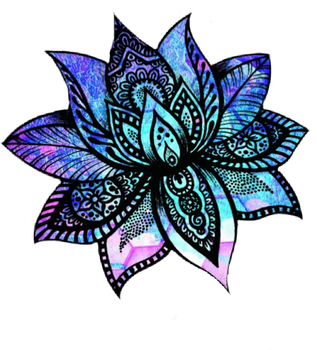 Lotus Flower Sketch (649x716), Png Download