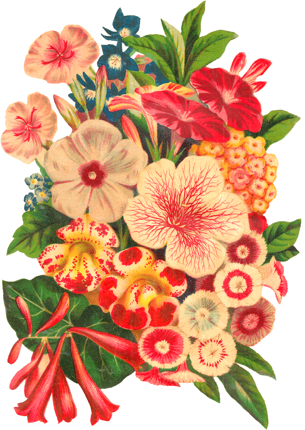 Clipart Sale 60% Off, Flower Doodle Clipart, Digital - Flower (1143x1600), Png Download