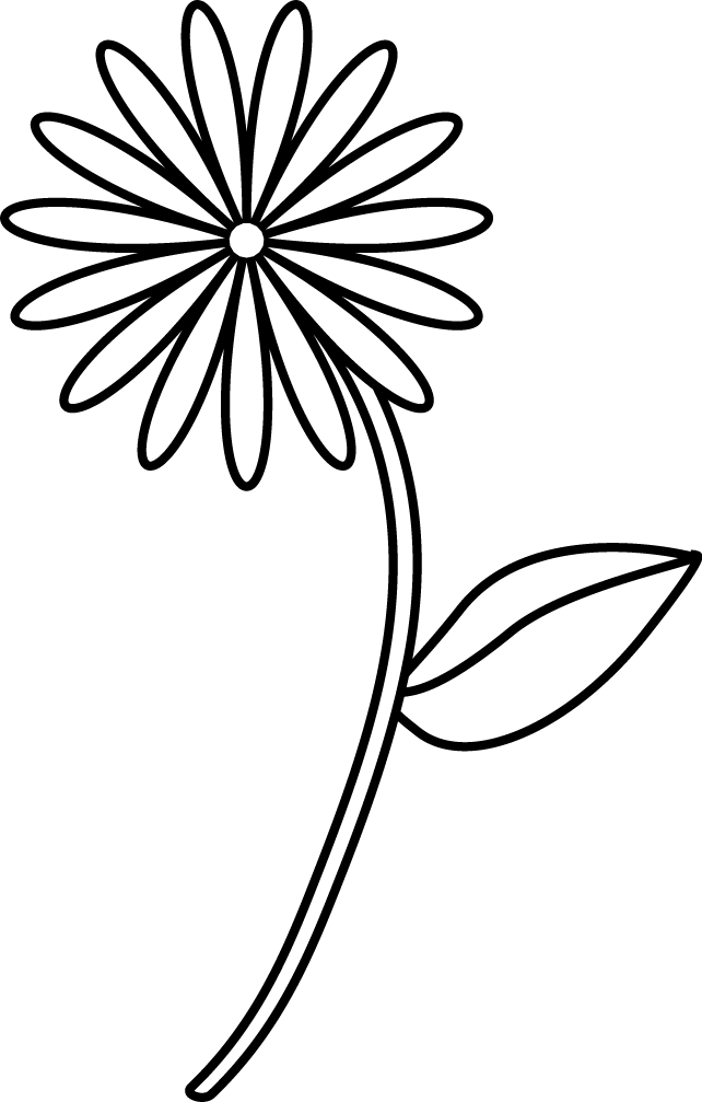 Easy Flower Sketch - Simple Flower Sketch Png (642x1007), Png Download