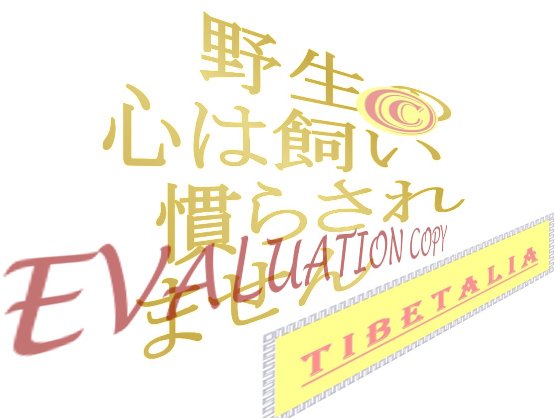 Japanese Translation Kanji Hiragana Script Tattoo Design - Calligraphy (1144x915), Png Download