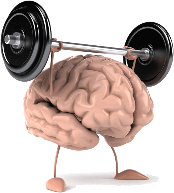 Healthy Brain Food, Eat It, And Preserve Your Mind - Brain Power (600x649), Png Download