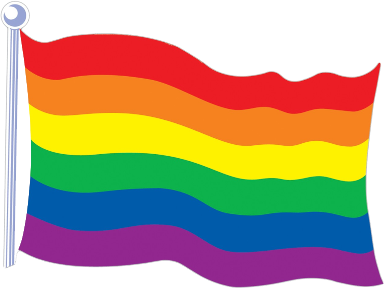 Rainbow Flag Transparent - Rainbow Flag Png (800x589), Png Download