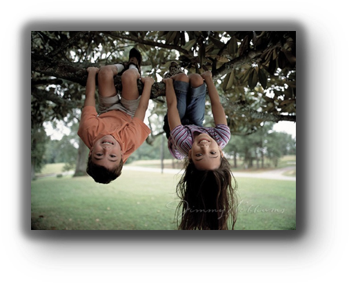 Img - Hanging Upside Down From Tree (548x453), Png Download