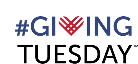 Giving Tuesday & Love Utah Give Tuesday - Giving Tuesday (521x305), Png Download