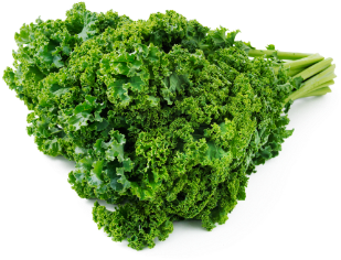 Kale Varieties - Curly Kale (585x390), Png Download
