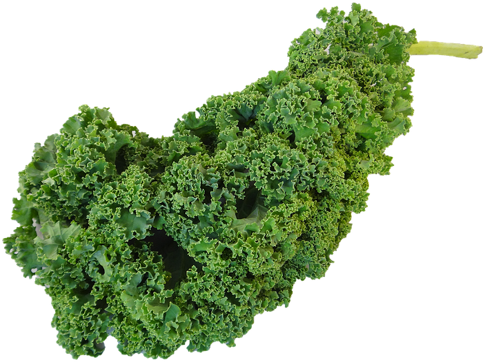 Kale Transparent Clipart Picture Freeuse Download - Oldladyrenee: 200 Kale, Lacinato Seeds! (849x720), Png Download