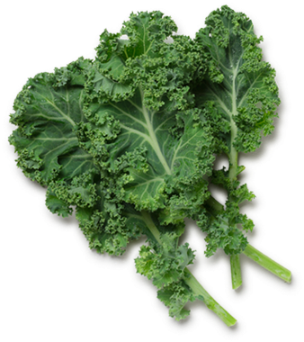 Kale Transparent Curly Vector Black And White Stock - Kale Curly (349x392), Png Download