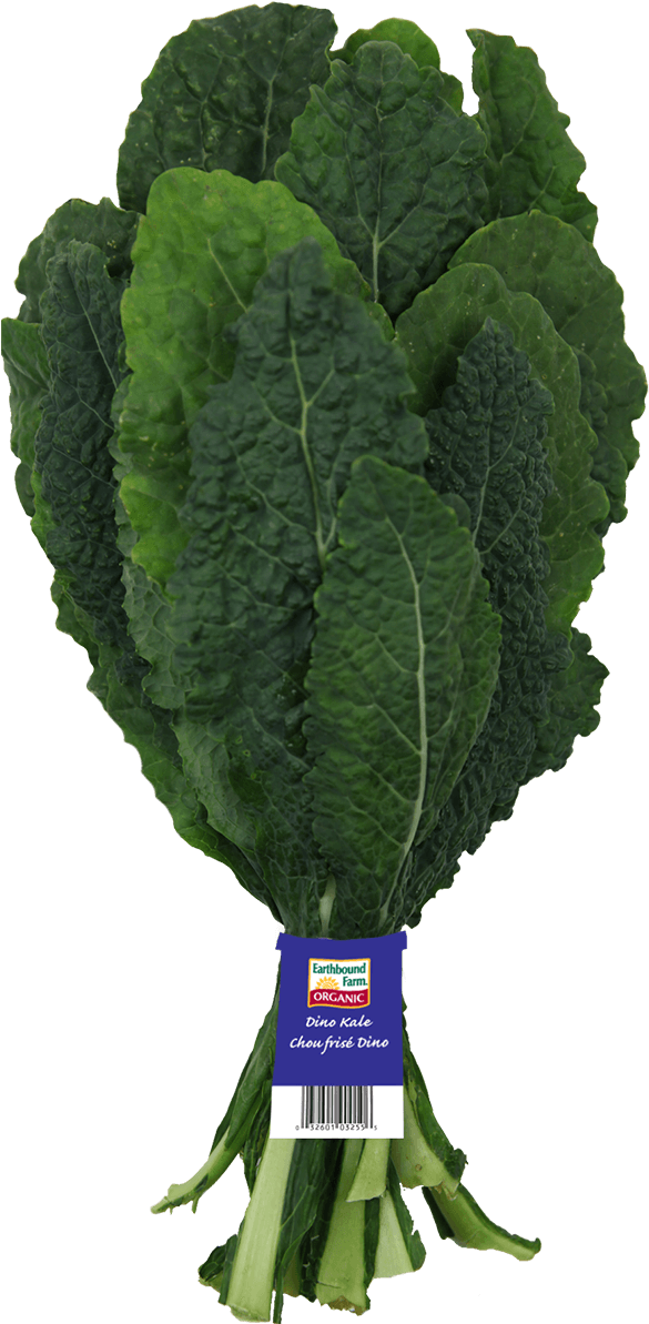 Kale Transparent Dino - Curly Kale (600x1210), Png Download