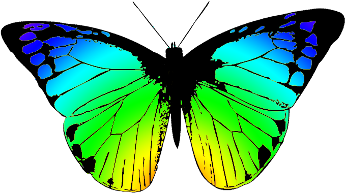 Butterfly - Butterfly Wings Clip Art (709x496), Png Download