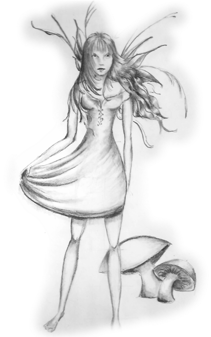 Png Transparent Download Drawing Forest Fairy - Drawing (500x688), Png Download