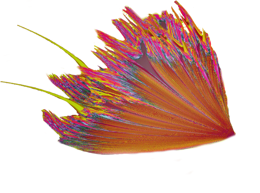 Pin Fairy Wings Clipart - Transparent Png Fairie Wings (1024x746), Png Download