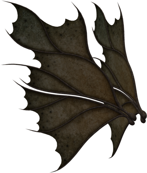 Fairy With Leaf Wings (1024x639), Png Download