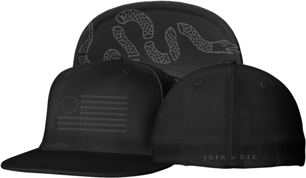 The Original Thirteen Flexfit Blacked Out Edition - Classics Of American Political And Constitutional Thought: (600x600), Png Download