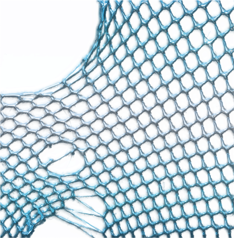 Fishing-net - Fishing Net Background Png (800x800), Png Download