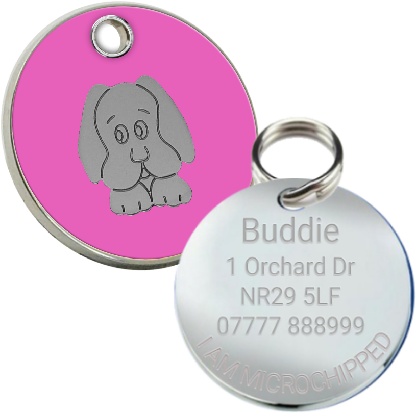 Enamel Pet Id Tag - Pet Tag (938x938), Png Download
