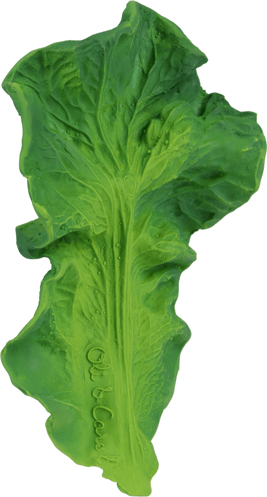 Kale Teether - Oli & Carol Kendall The Kale (2000x2000), Png Download