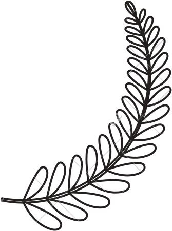 Wreath Leaves Ornament Vector - Leaf Ornament Vector Png (550x550), Png Download