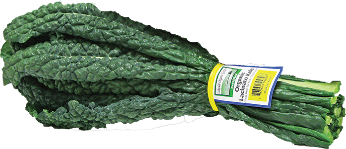 Trim The Center Stem From Each Leaf, Stack Them Together - Lacinato Kale (694x300), Png Download