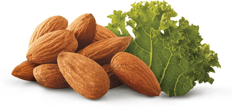 Almond And Kale - Leaf Vegetable (810x400), Png Download