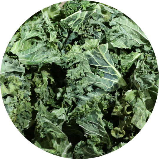 Big Foot Foodie Now Has Kale Available Buy Kale - Bag (540x540), Png Download