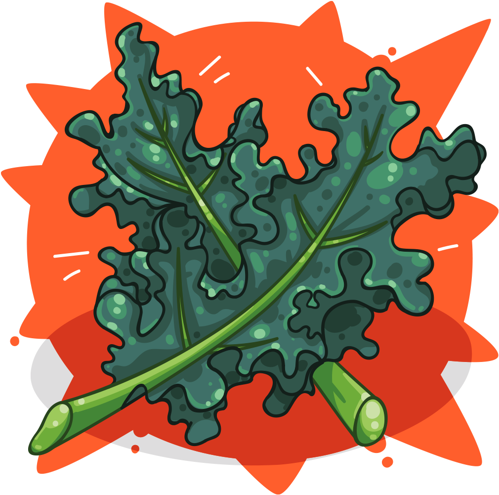 Kale - Curly Kale (1024x1024), Png Download