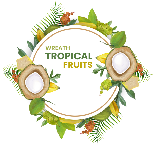 Beautiful Decorative Summer Tropical Fruits Wreath, - Fruit (640x640), Png Download