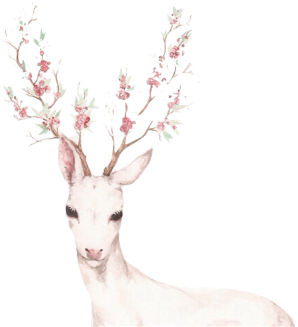 Deer Antlers (480x480), Png Download