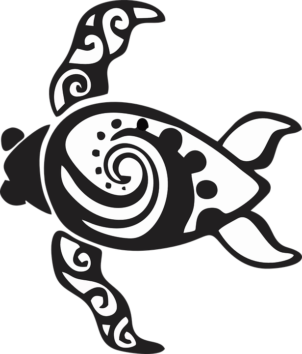 Free Vector Graphic - Tortuga De Mar Vector (616x720), Png Download