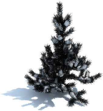 Snow Tree Png Download - Information (400x400), Png Download