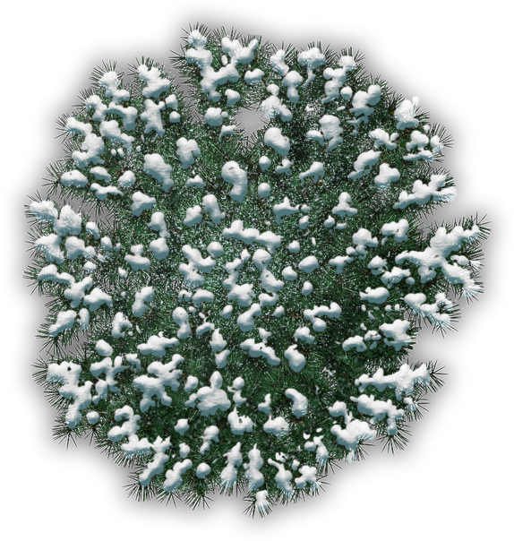 Pine Jhd D 06 Feb 2009 - Imgur Llc (574x604), Png Download