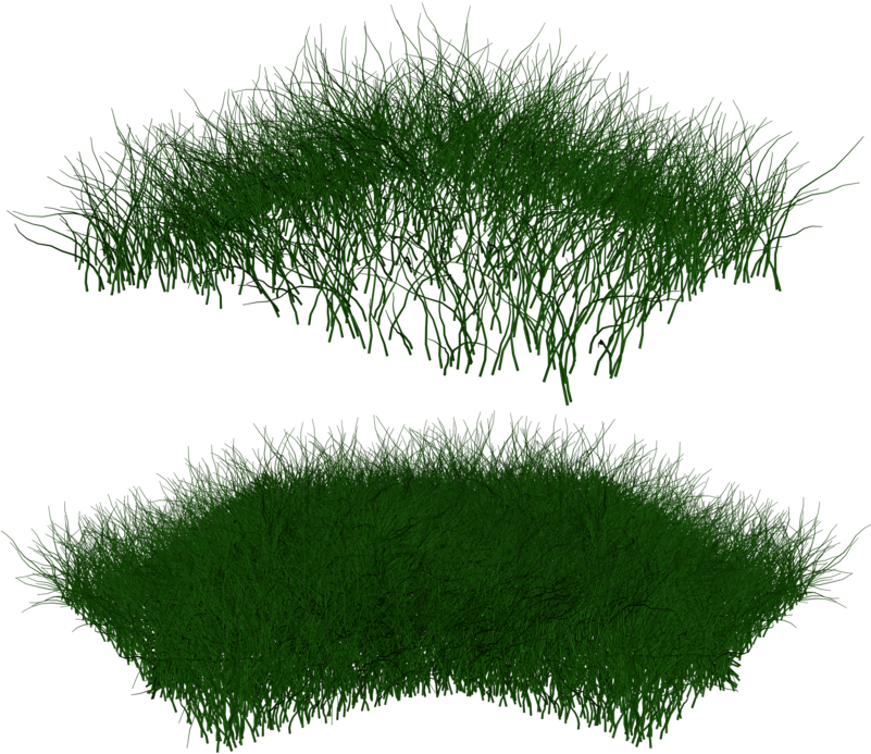 Grass Photoshop, Post Pro, Autocad, Project Presentation, - Tree (800x702), Png Download