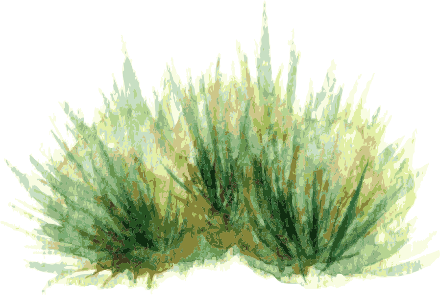 Watercolor Painting Plant Drawing - Watercolor Painting (1000x1000), Png Download