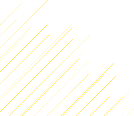 A1 Scan With Ip & Lp Lines - Title (460x397), Png Download