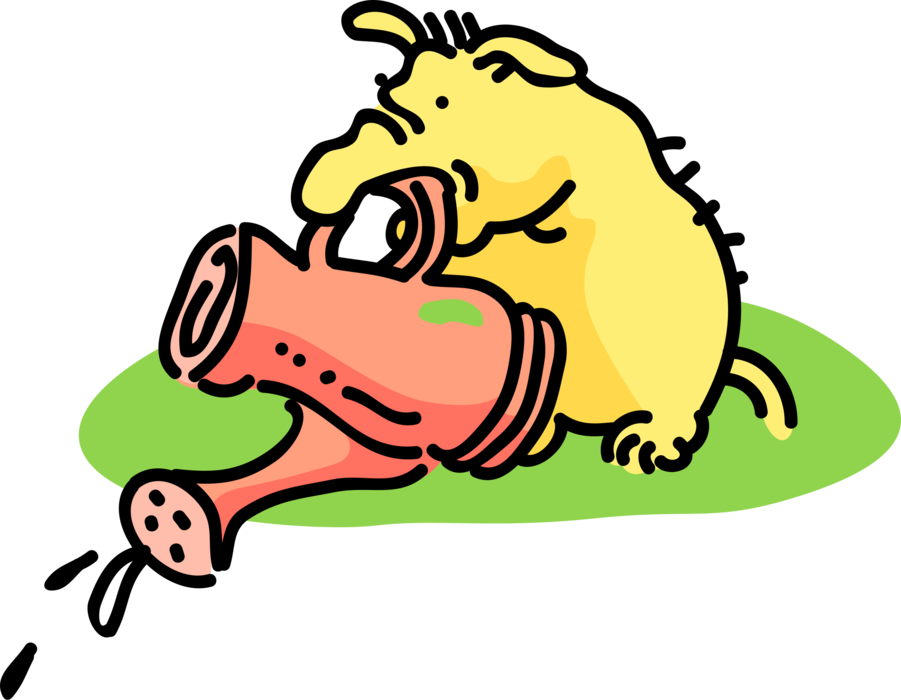 Vector Illustration Of Pig Watering The Grass (901x700), Png Download