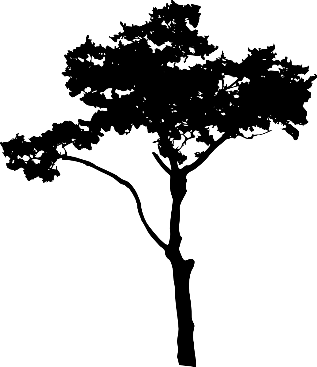 Free Download - Art (1036x1200), Png Download