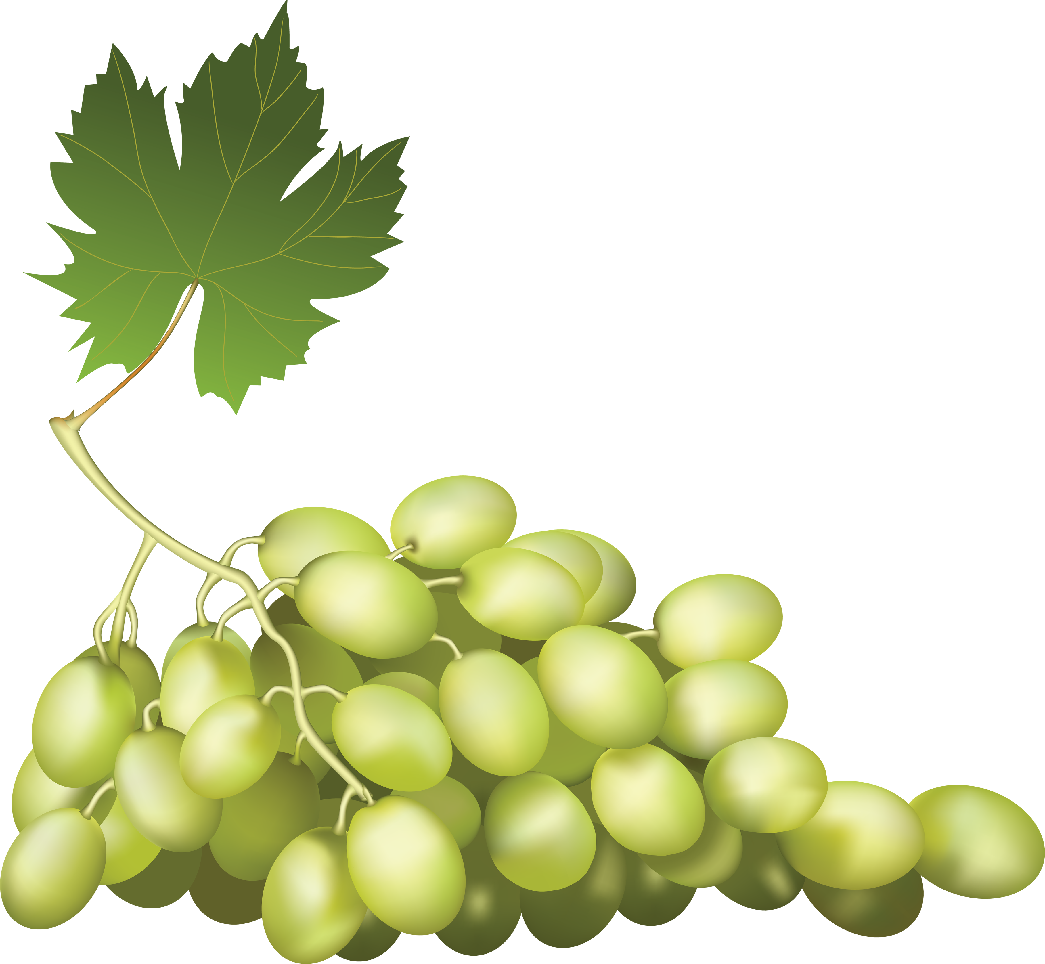 Bow Transparent Png Sticker - Grape Png (3634x3352), Png Download