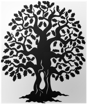 Los Robles Magnet Academy (400x400), Png Download