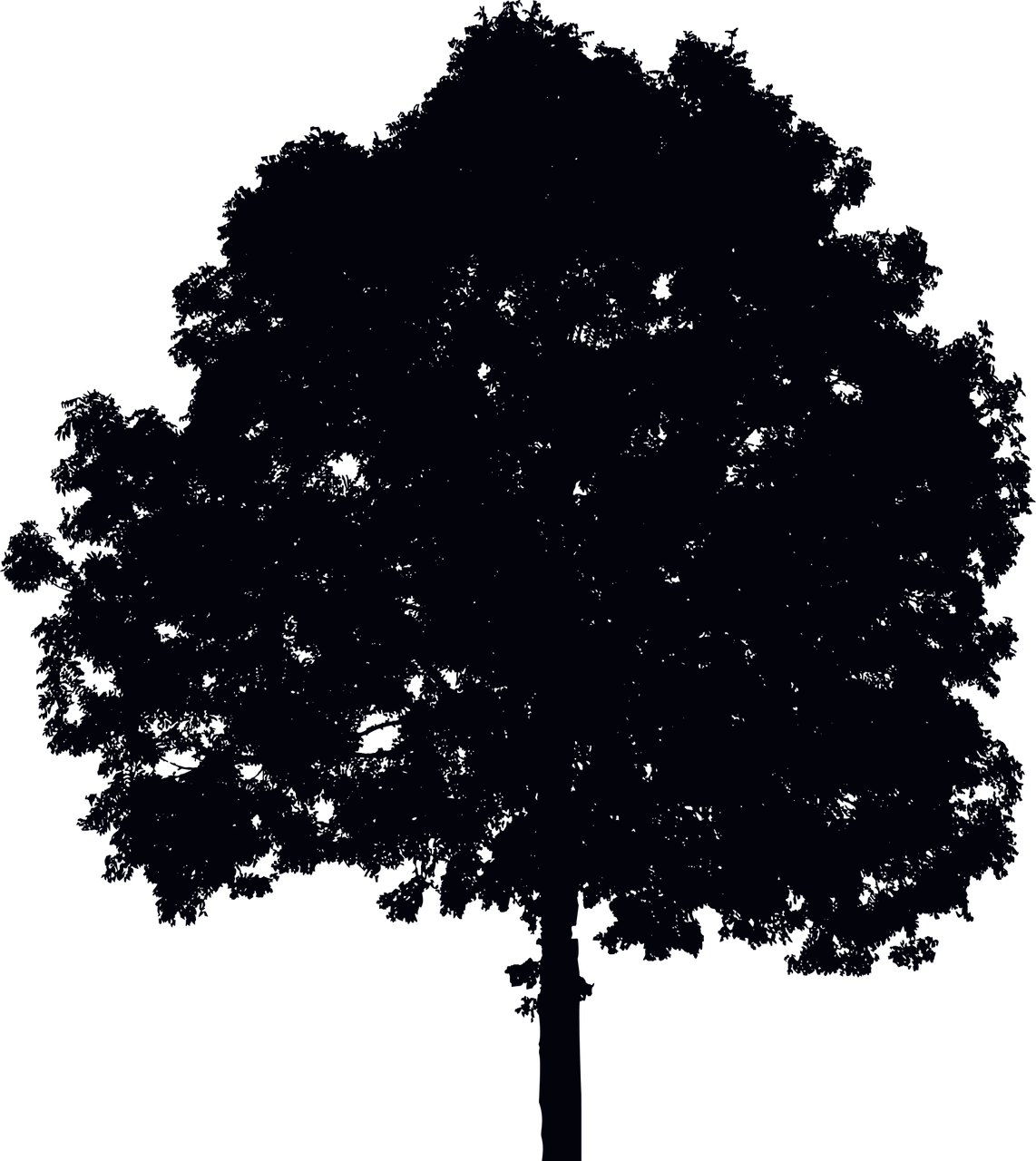 Single Tree Silhouette - Silhouette Simple D'arbre Grand Tote Bag (892x1000), Png Download